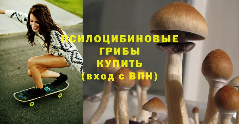 Галлюциногенные грибы Psilocybe  Лукоянов 